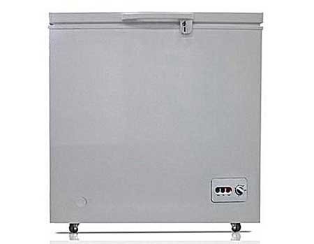 Best Deep Chest Freezer for business use